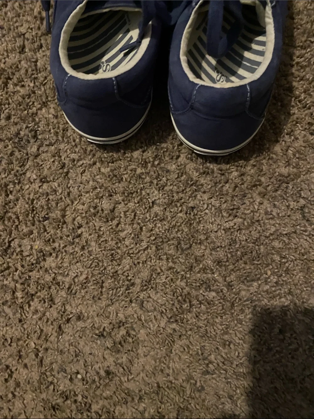Taos Footwear navy canvas